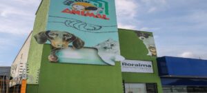 Leia mais sobre o artigo Programa do Bem-Estar Animal faz mais de 10 mil atendimentos gratuitos em Roraima