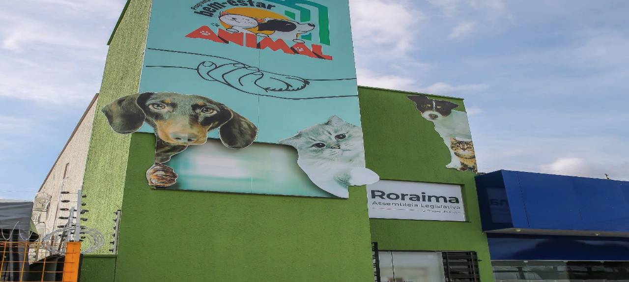 No momento, você está visualizando Programa do Bem-Estar Animal faz mais de 10 mil atendimentos gratuitos em Roraima