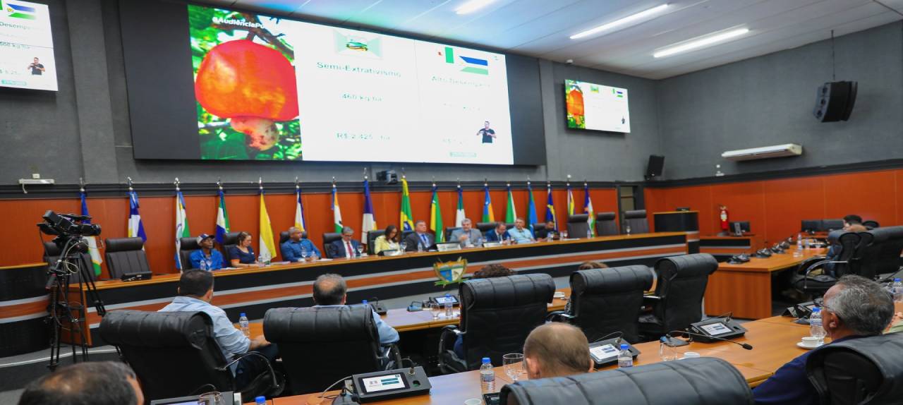 No momento, você está visualizando Potencial da produção de caju é discutido em audiência pública na ALERR