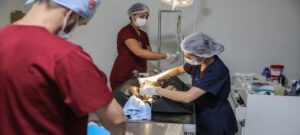 Leia mais sobre o artigo Programa da ALERR ultrapassa 12 mil atendimentos e anuncia novas ações para 2026