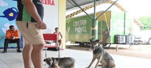 Leia mais sobre o artigo ALERR reforça ações de combate à crueldade animal e destaca importância da denúncia e dos cuidados