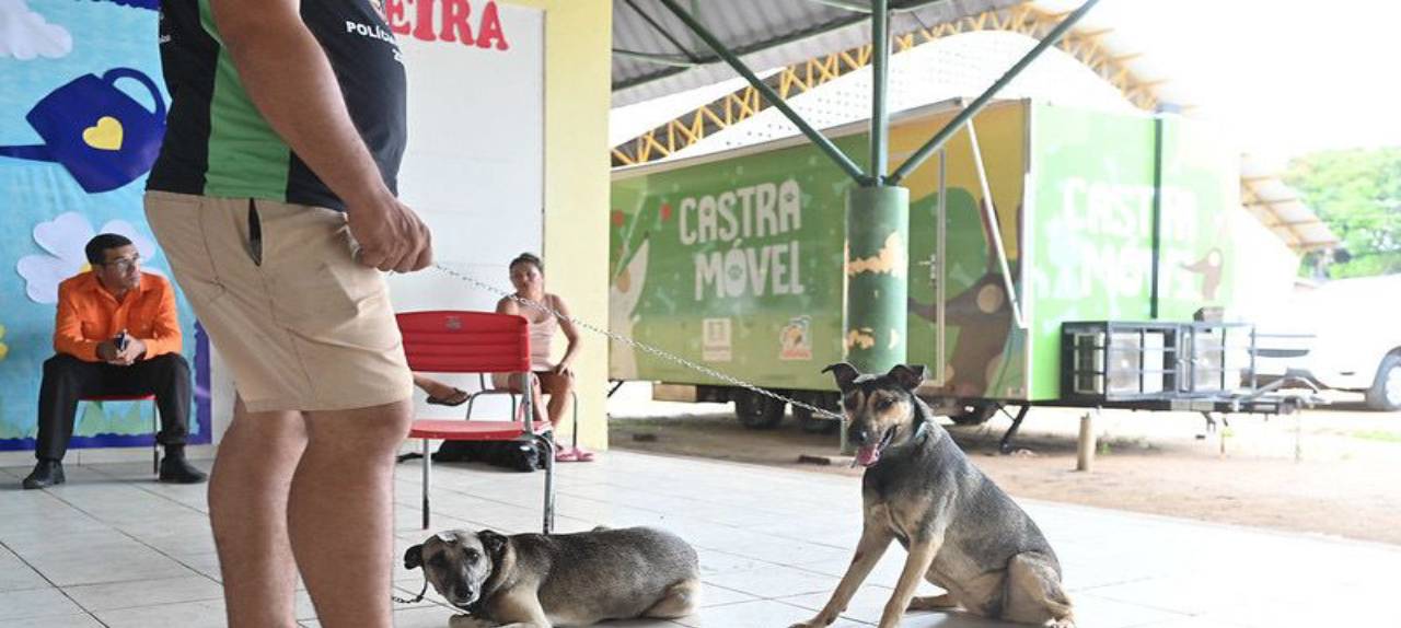 No momento, você está visualizando ALERR reforça ações de combate à crueldade animal e destaca importância da denúncia e dos cuidados